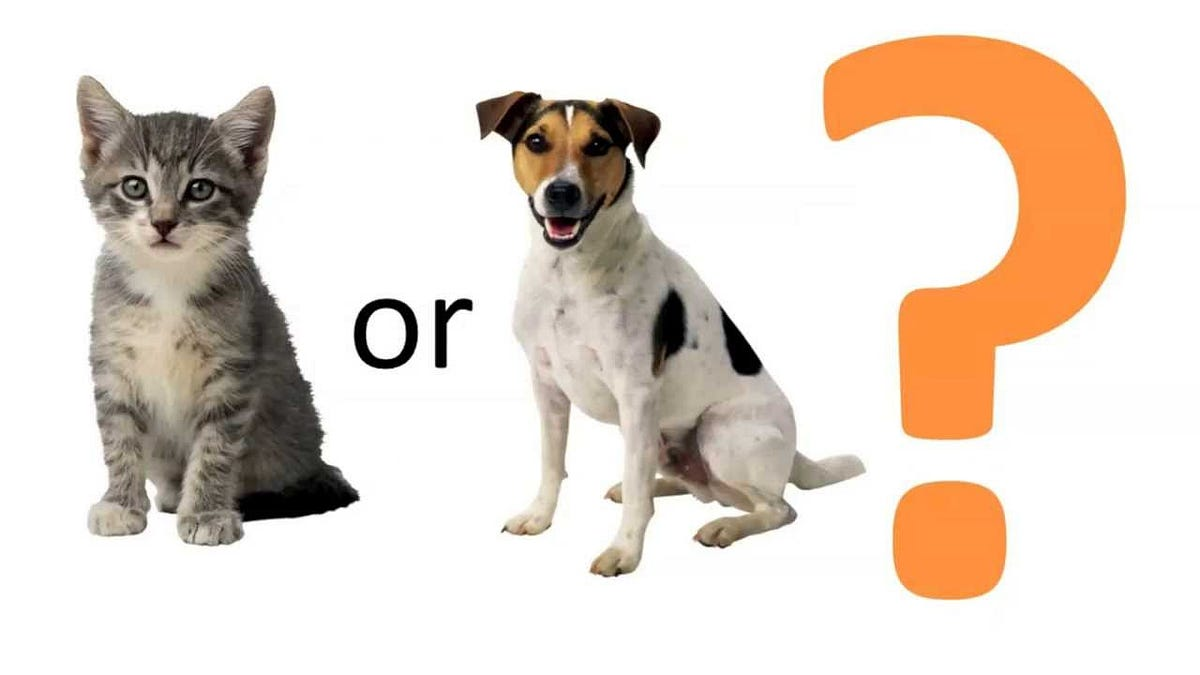 Cat vs Dog Image Classifier